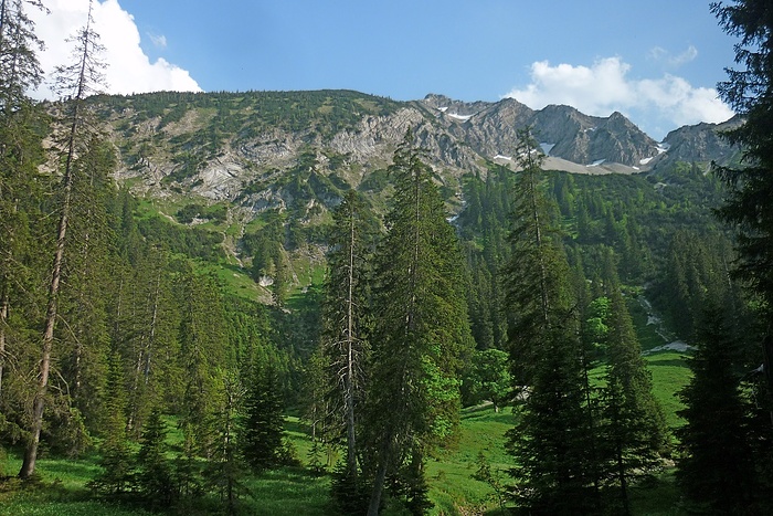 Blick Hinauf Zur Beliebten Scheinbergspitze Fotos Hikr Org