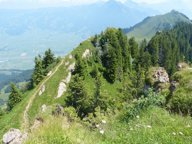 Blick Zur Ck Ber Den Grat Zum Hirzli Fotos Hikr Org