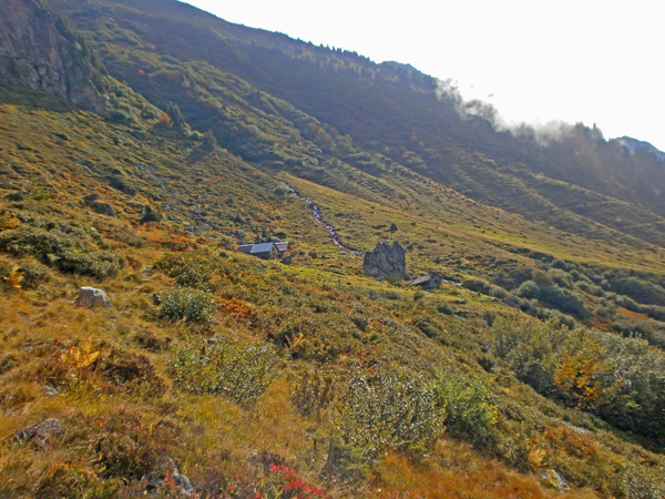 Ab Durch Die Wildnis Ab Durch Die Wildnis