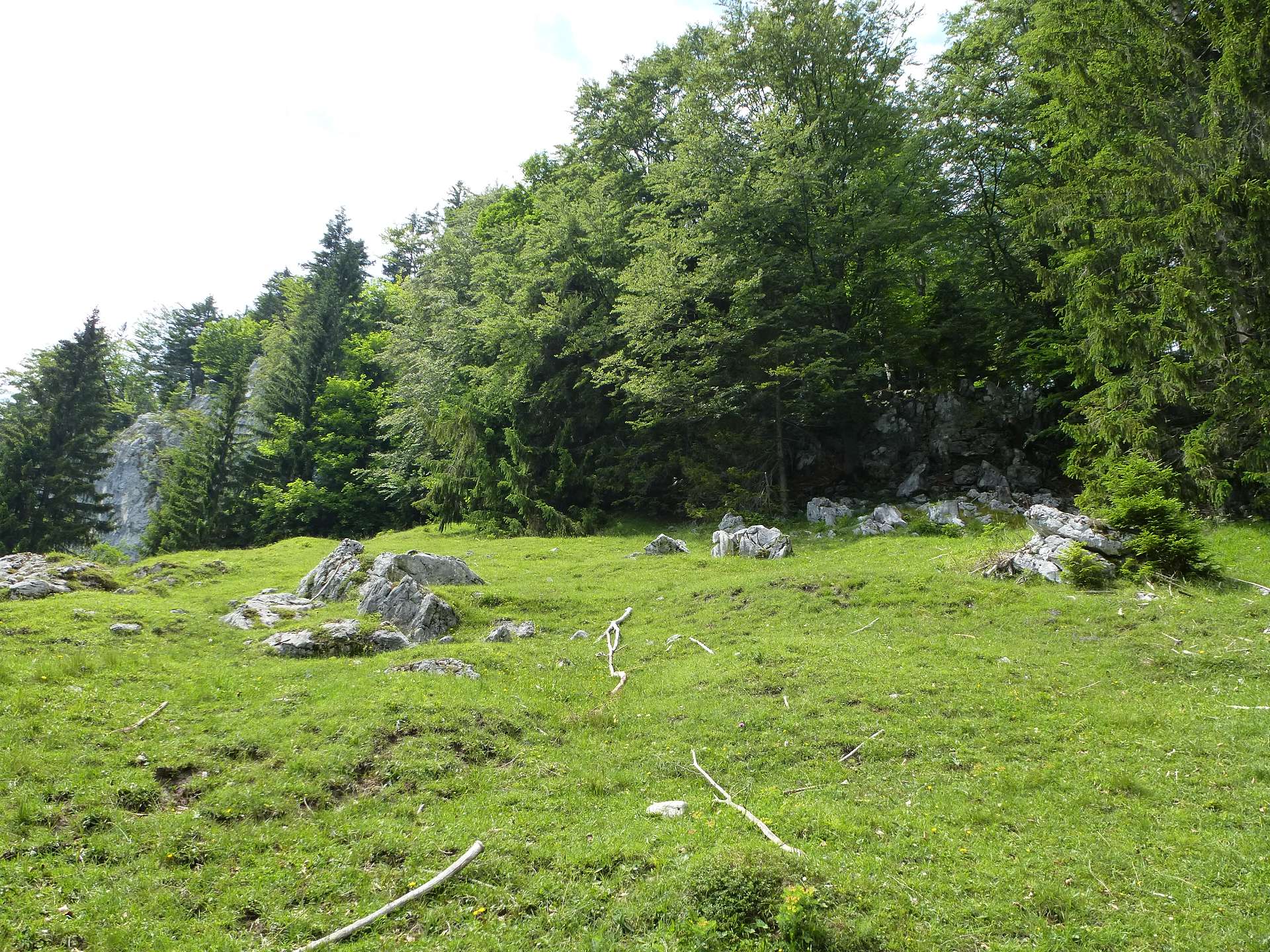 Rechts von der Felswand nach oben - Fotos [hikr.org]