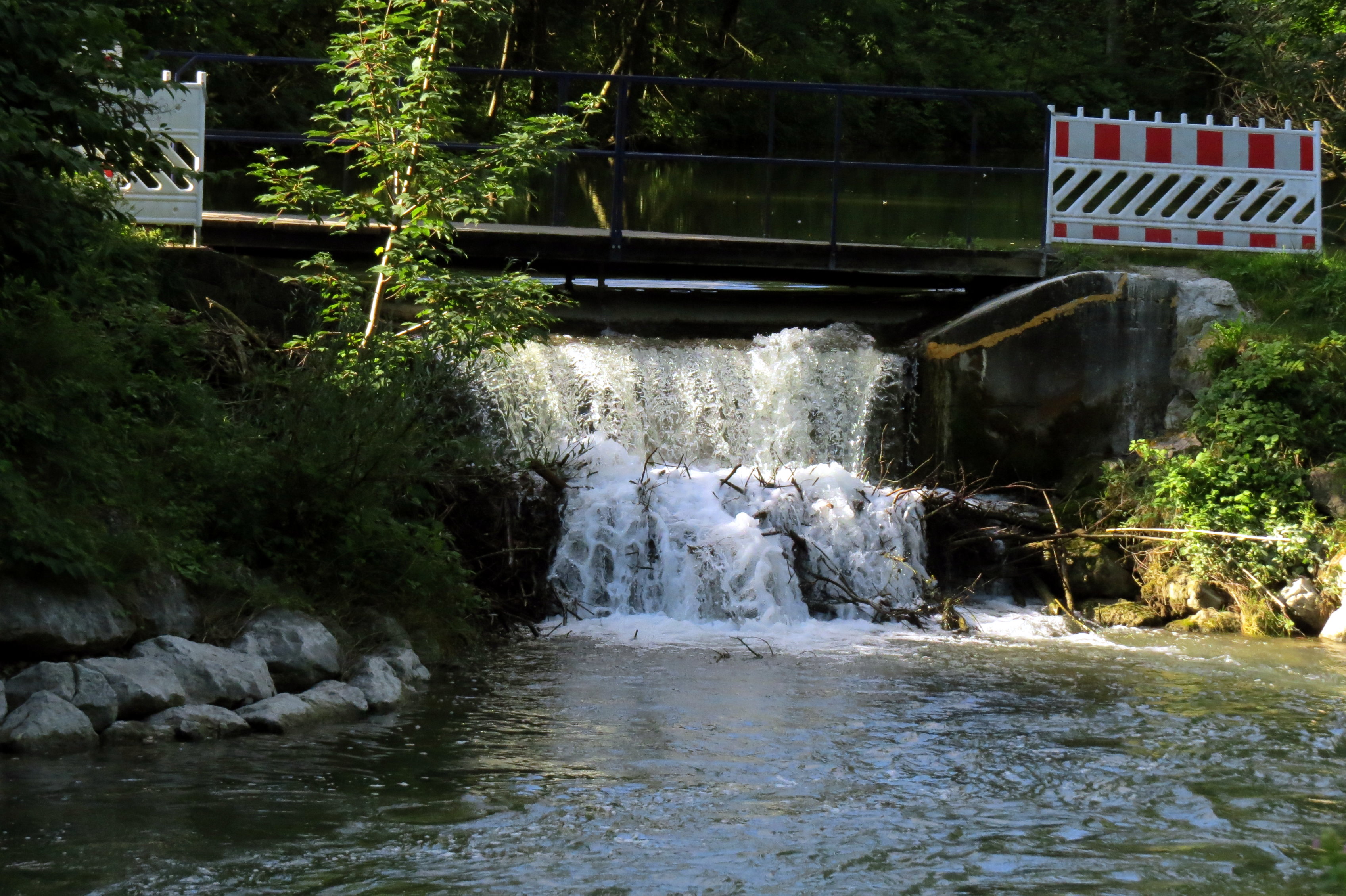 Nebenarm Der Amper Fotos Hikr Org