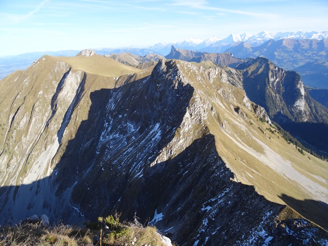 Auf Dem Ochsen Blick Richtung Gemsgrat Fotos Hikr Org