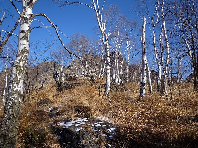 L arrivo sulla Piana del Türi quota 1142 m Fotos hikr org