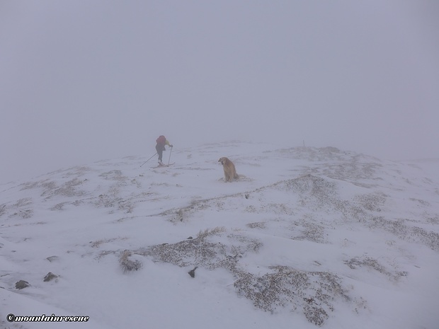 Am Kammverlauf zum Gipfel ist "Schneesuchen" angesagt ☺