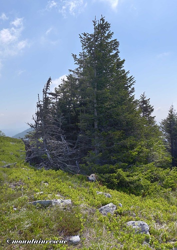 Hitzeschlacht zum Eibelkogel Hitzeschlacht zum Eibelkogel