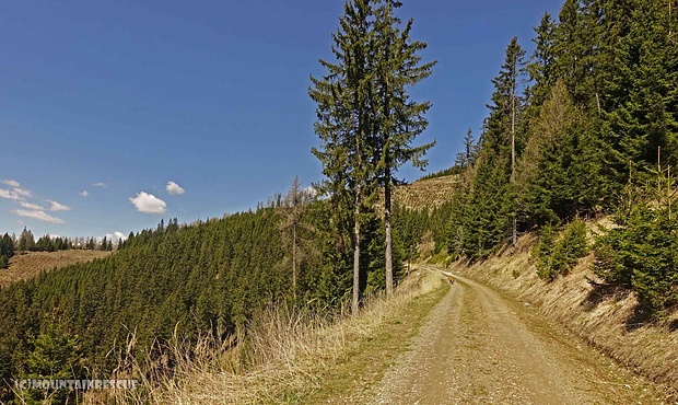 Über Forststraßen zur Jagdhütte Kosak, wo die letzten 300 Höhenmeter in Angriff zu nehmen sind!