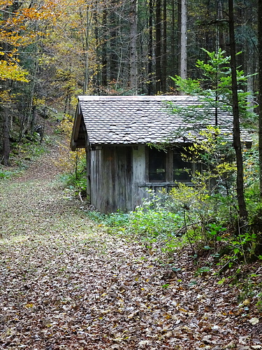 Immer Wieder H Tten Im Wald Fotos Hikr Org