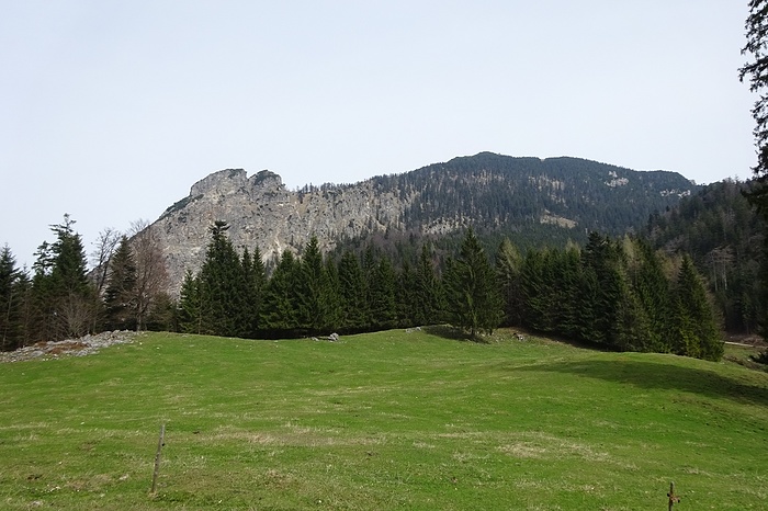 Blick vom Eschlmoos zum Hochfelln und zum Rötlwandkopf hikr org