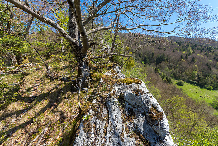 Schöner Grat Fotos hikr org