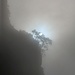 Alpen Eidenen, Wis und Rohr
