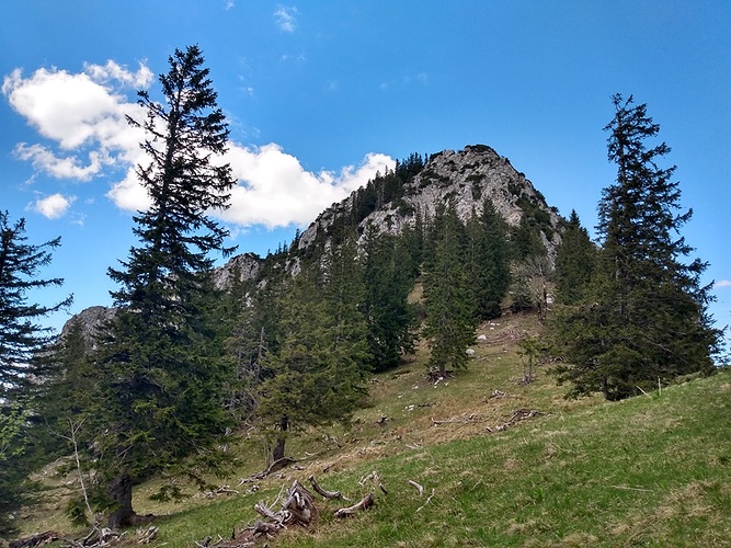 Schwarzenkopf Von S Den Fotos Hikr Org