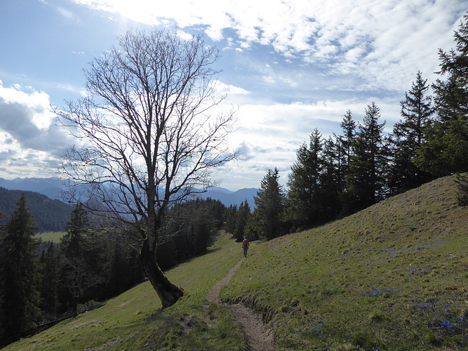 Ein Wirklich Sch Ner Pfad Zum N Chsten Gupf Fotos Hikr Org