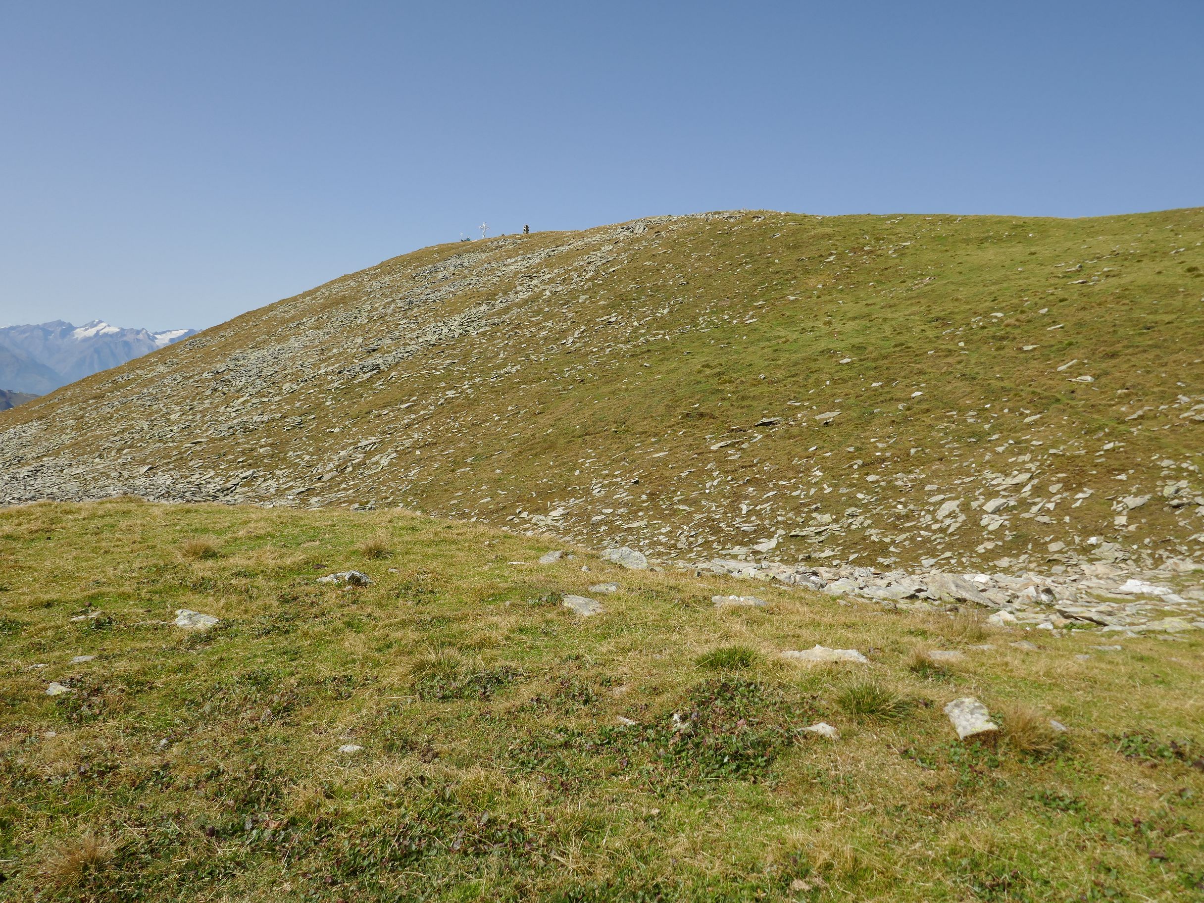 Ein Sch Ner Grasberg Fotos Hikr Org