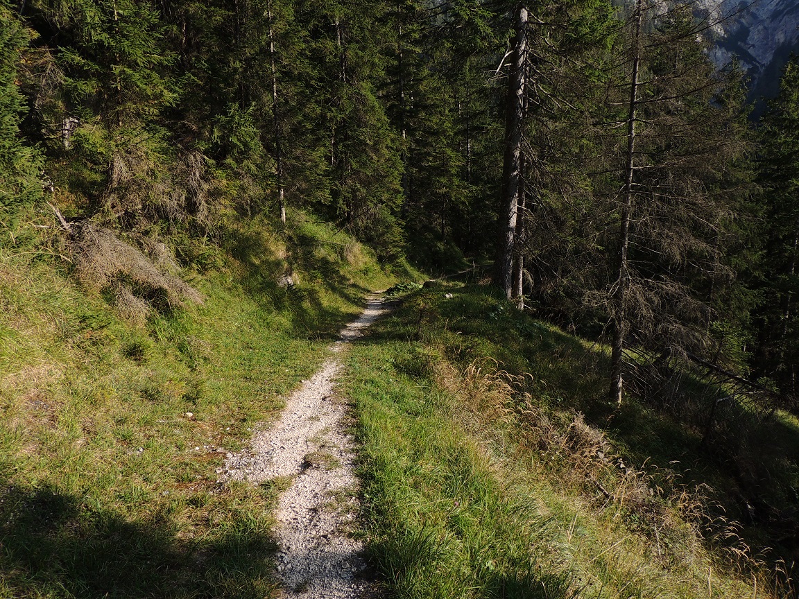 auf gemütlichem Steig ins Tal Fotos hikr org