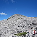 Mutteristock 2294