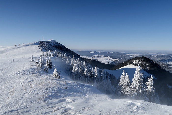 Auf Dem Weg Zum Chasseron Fotos Hikr Org