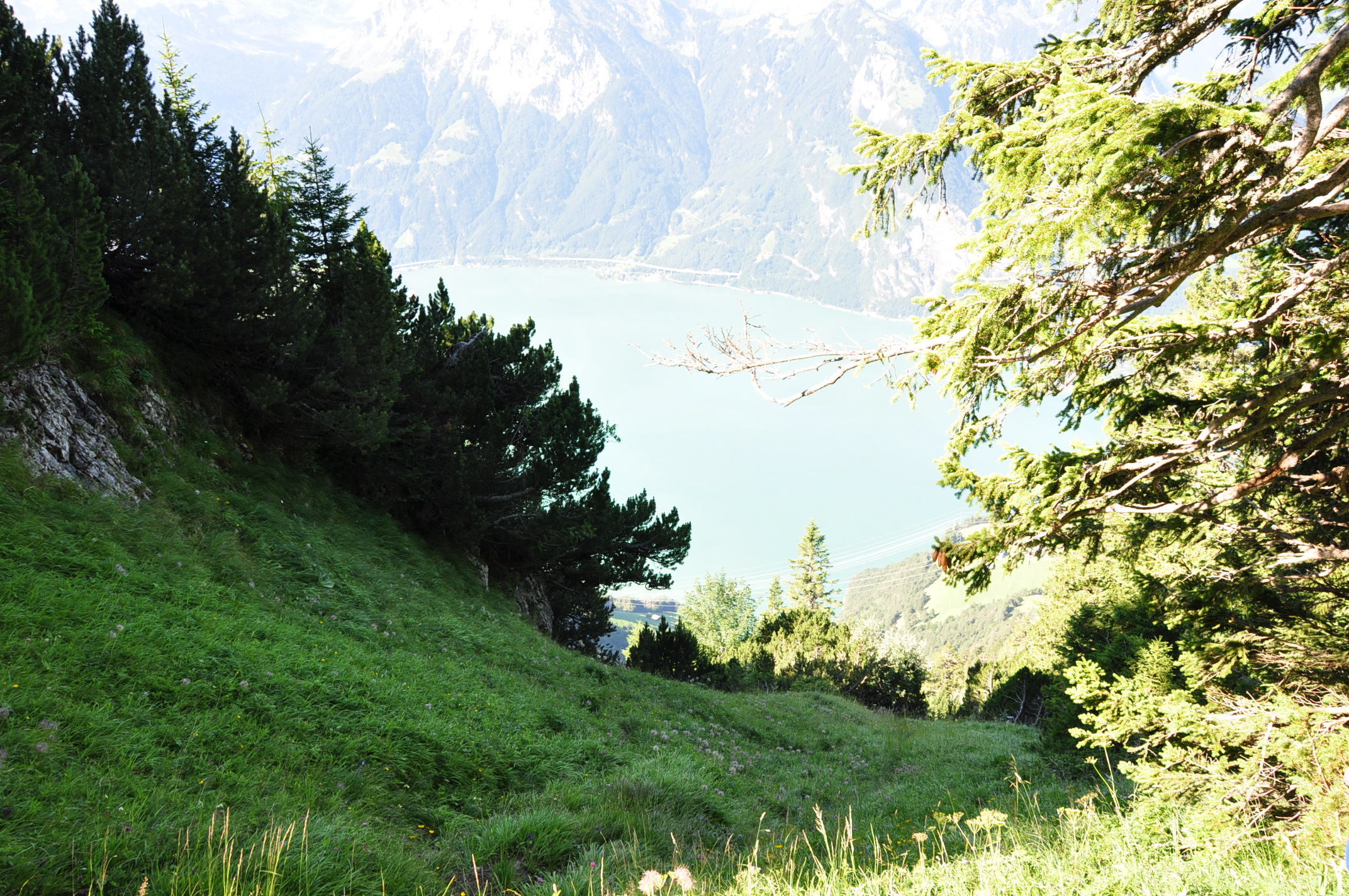 Tiefblick Zum Urnersee Fotos Hikr Org