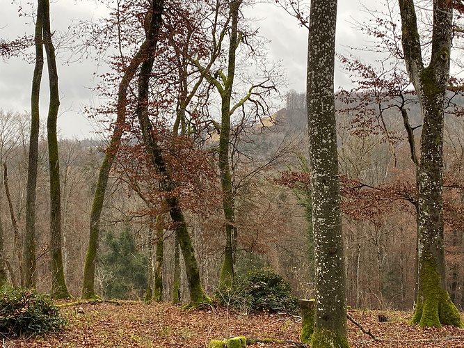 Blick hinüber zum Steinbruch Gabenchopf Fotos hikr org