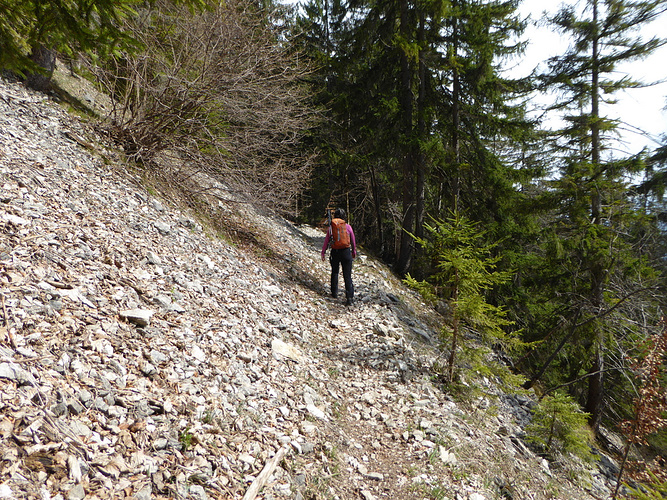 Auf Dem Weg Zum Berger Graben Fotos Hikr Org