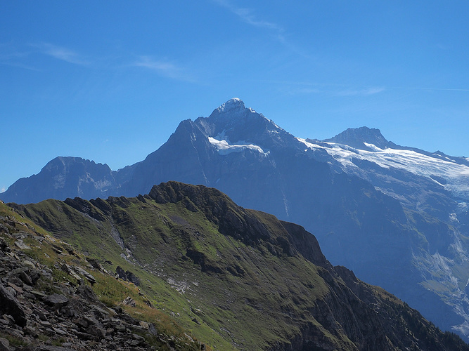 Wetterhorn Mit Dem Gutzgletscher Fotos Hikr Org