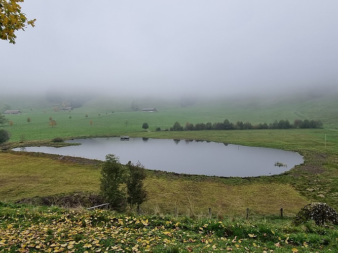 Verlandendes Seelein Beim Ruedisegg Fotos Hikr Org