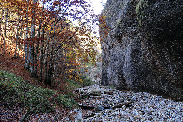 Nun Gehe Ich Weiter Dem Felsen Entlang Fotos Hikr Org