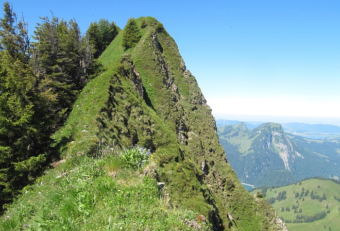 Zwischen Tierberg Und Bockmattli Fotos Hikr Org