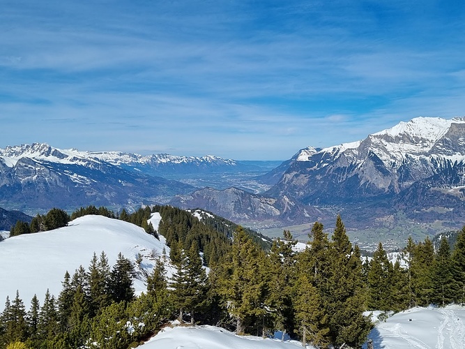 Blick vom Chimmispitz ins grünende Rheintal Fotos hikr org