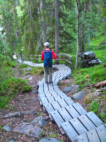 Aufwändige Treppenkonstruktionen führen durch den Wald... [hikr.org]