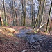 hübsche Plattenwegpassage im Abstieg im Schwendiwald