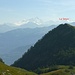 La Seya e sullo sfondo le alpi del Vallese,Weisshorn a sx e Dent Blanche a dx...