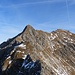 Blick zum Nebelhorn