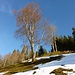 Farbe im Winter