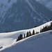 Auch eine schöne (Schlechtwetter-)Skitour: Gröbner Hals. In der Gratverlängerung nach rechts oben sind Tourengeher auf dem Skihörndl zu erkennen.