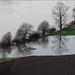 Tauwetter: die Donau führt Hochwasser