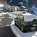 la "Lince delle Alpi"