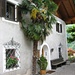 Palme an der Hauswand eines Südtiroler Bauernhauses