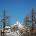 Grand Pic de Rochebrune (3350m), le Cervin de l'izoard