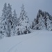 Dieses Foto dürfte den Erich (Mountainrescue) aus der Stmk. bez. Schneehöhe freuen.