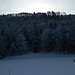 Start beim Langlauf-Zentrum in Prés-d'Orvin