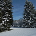 Winterlandschaft