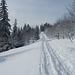 die Schneeschuhstrasse auf dem Grat