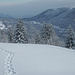 Sicht hinunter auf Prés d'Orvin