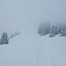 und plötzlich ist der Nebel da