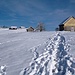 Appenzeller Wu(a)nderland - Schneeschuhtrail zum Hohen Hirschberg