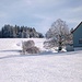 Querschnee - ein im Mendle