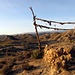 Sieht wirklich aus wie in Arizona. Desierto de Tabernas/Spanien.