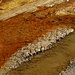 Das bisschen Wasser im Flussbett lagert auch farbenfrohe Mineralien ab.