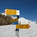 Segnaletica all'Alpe di Morisciolo