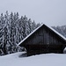 in der Nähe von Neuhüttli - immer noch unter der Wolkendecke und im leichten Schneetreiben